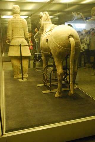 Los guerreros de terracota de Xiam, Museum-China (16)